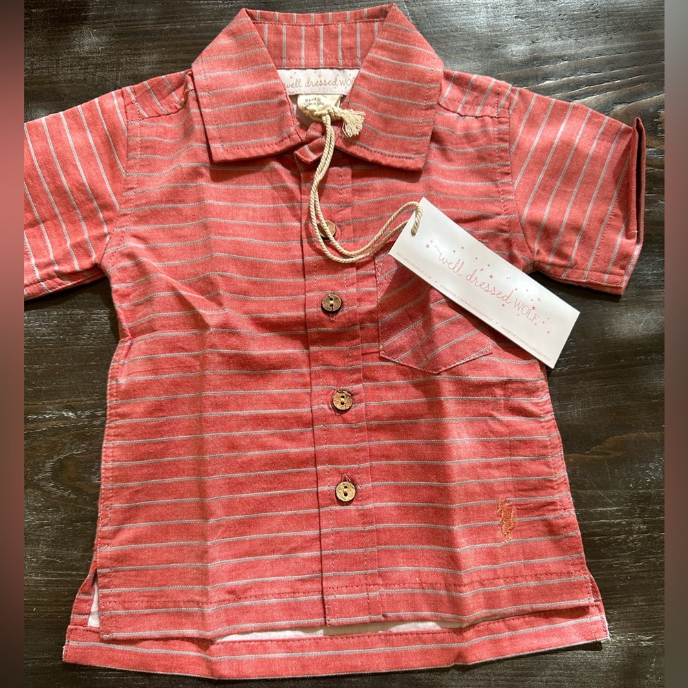 Well Dressed Wolf Button Up Polo RN 137402 100% Cotton